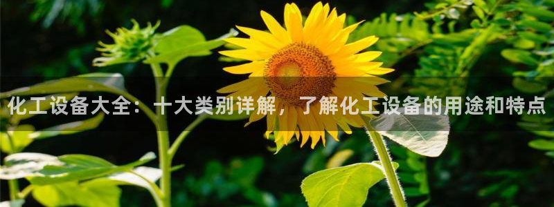 美狮会app