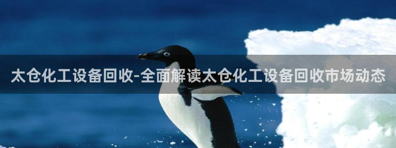 美狮贵宾会bbgames