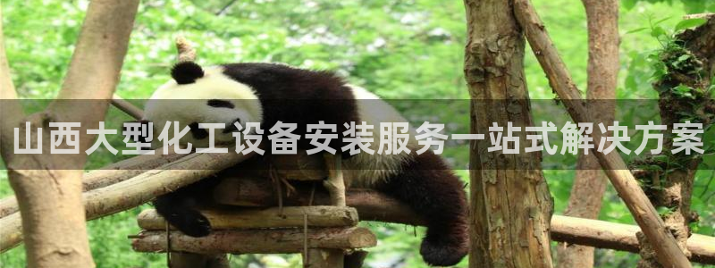 美狮贵宾会网址是什么