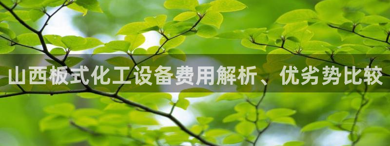 美狮是什么