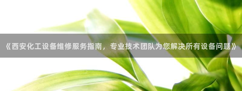 美狮贵宾会下载官方