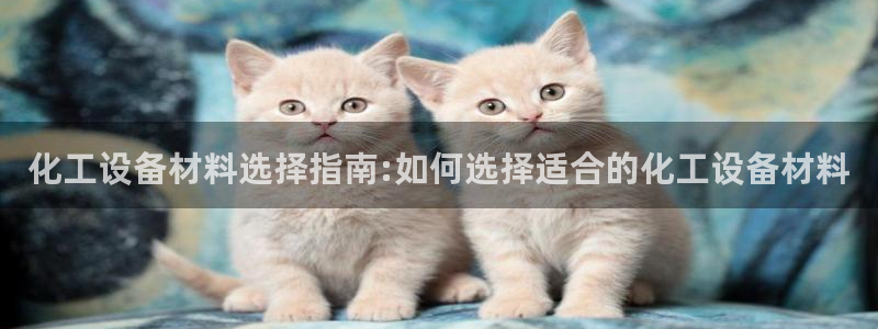 美狮会平台是干什么的