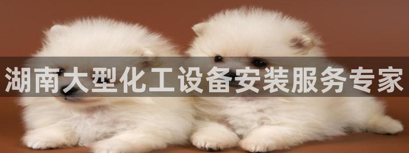 美狮会客服官网