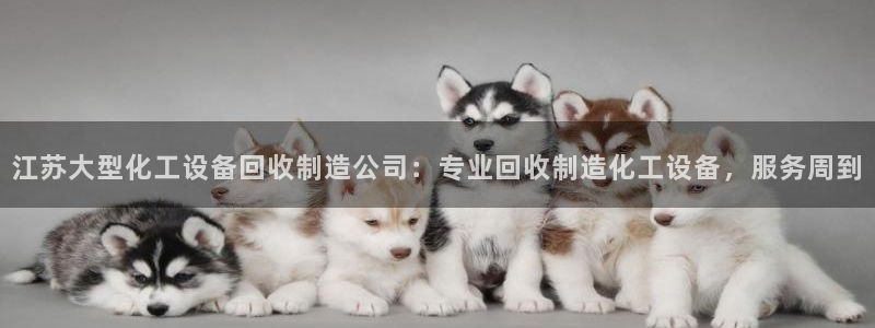 美狮贵宾会0923344