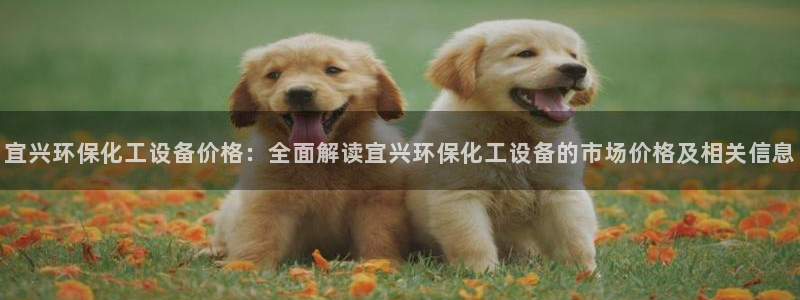 美狮贵宾会客户端下载