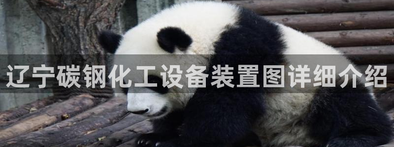 美狮会员网站