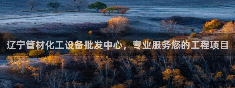 美国美狮集团