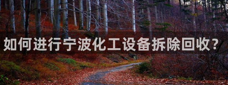 美狮贵宾会怎么不到了