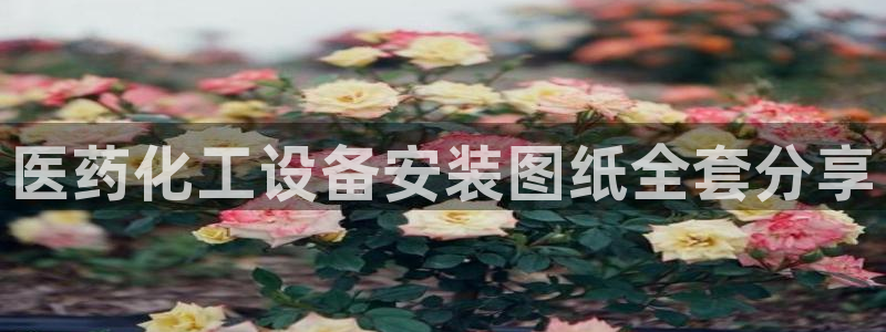 美狮会套利是真的吗