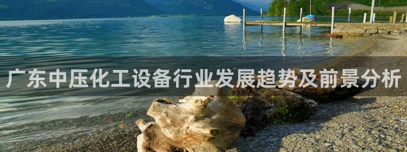 美狮贵宾会网址是什么