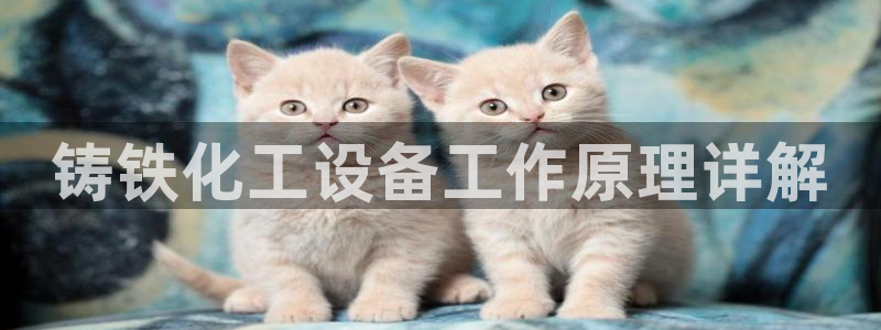 美狮官版2023最新版本下载