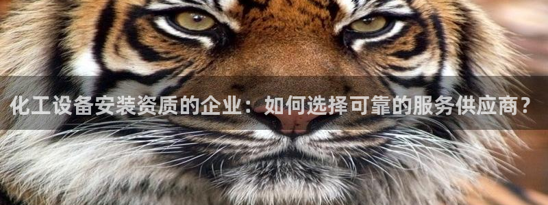美狮科技
