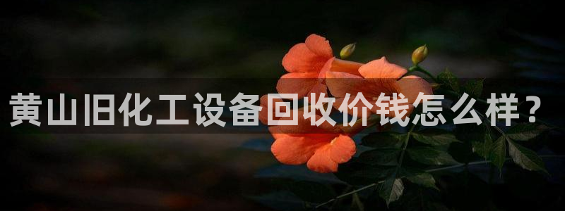 美狮贵宾快速充值中心客服电话