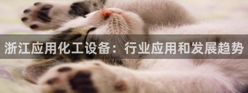 美狮官版2023最新版本下载