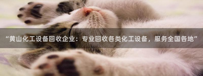 美狮集团董事长兼总经理