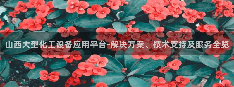 美狮会员充值中心在哪