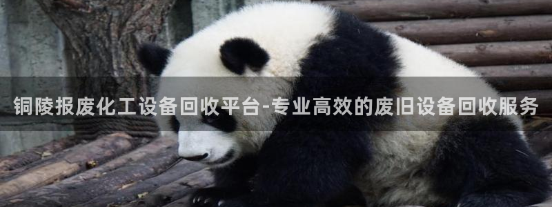 美狮贵宾快速充值中心怎么样