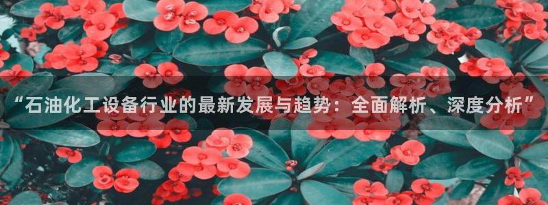 美狮贵宾会论坛