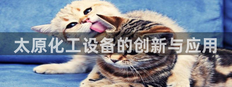 美狮会是正规平台吗是真的吗吗