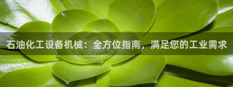 美狮会员注册流程