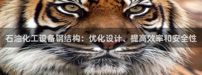 美狮会挂机骗局