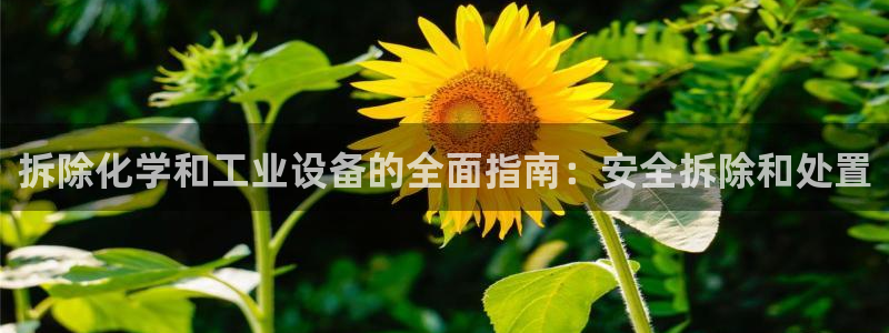 美狮会是正规平台吗是真的吗吗