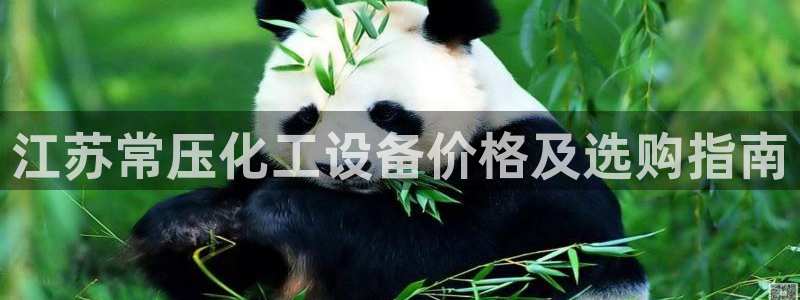 美狮贵宾会输了几万