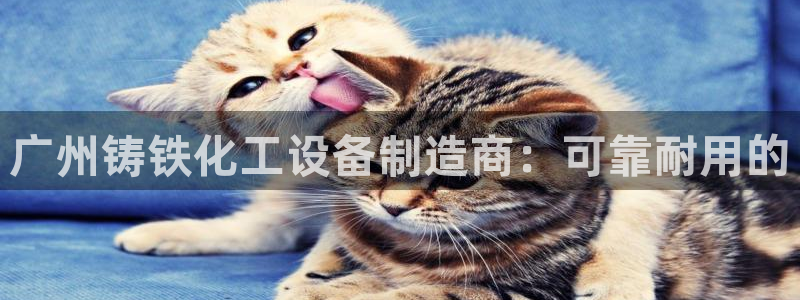 美狮会员充值中心官网