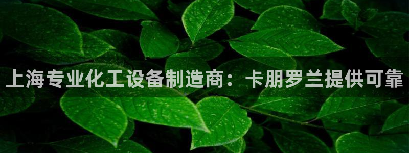 下载美狮会
