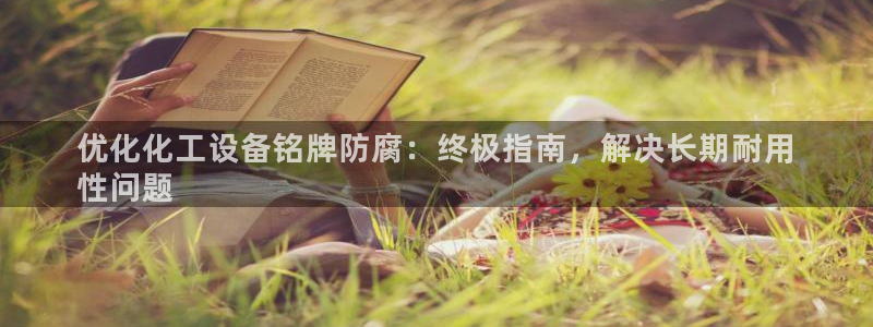 美狮国际控股集团