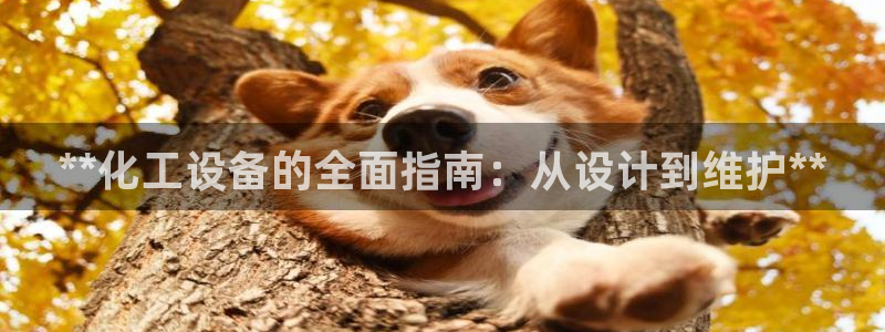 美狮会员卡等级怎么分