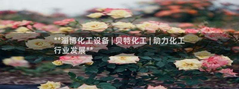 美狮集团
