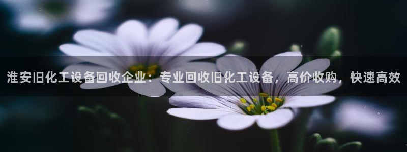 美狮贵宾会代理