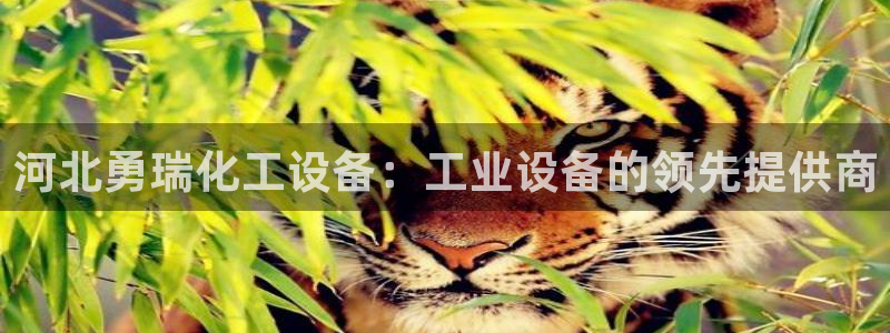 美狮会赚钱平台是骗局吗知乎