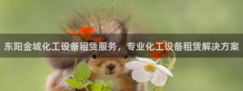 美狮会客服官网