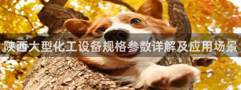 美狮会官网