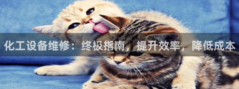 美狮贵宾快速充值中心客服电话