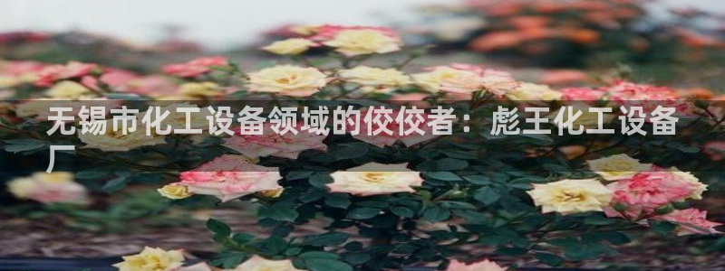 美狮是什么
