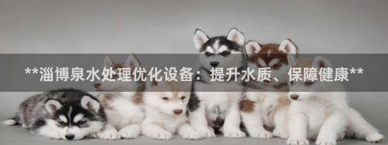 美狮贵宾会网页登陆