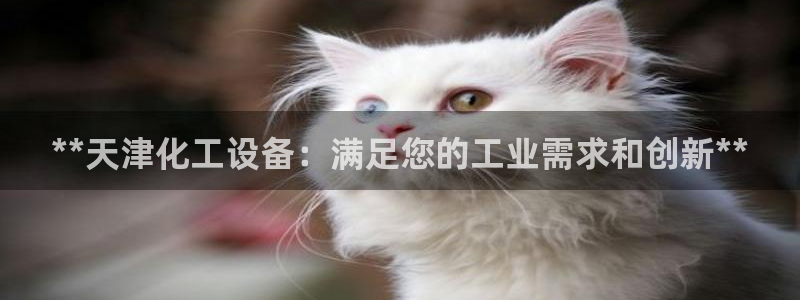 下载美狮会