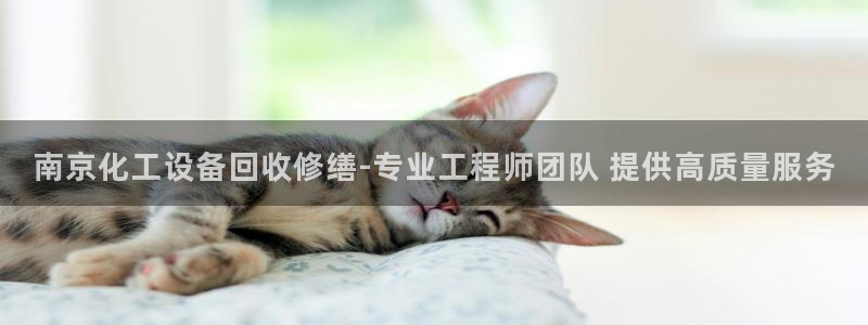 美狮贵宾会开了几年了吗