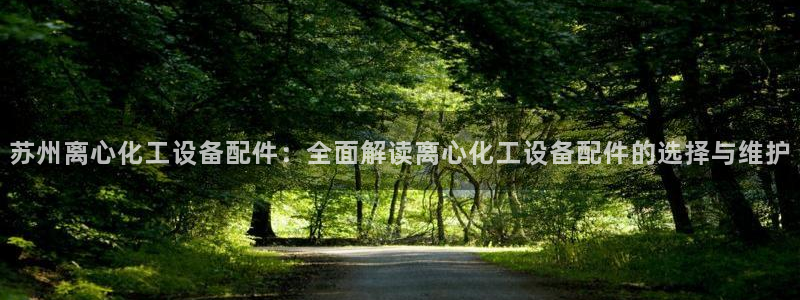 美狮国际控股集团