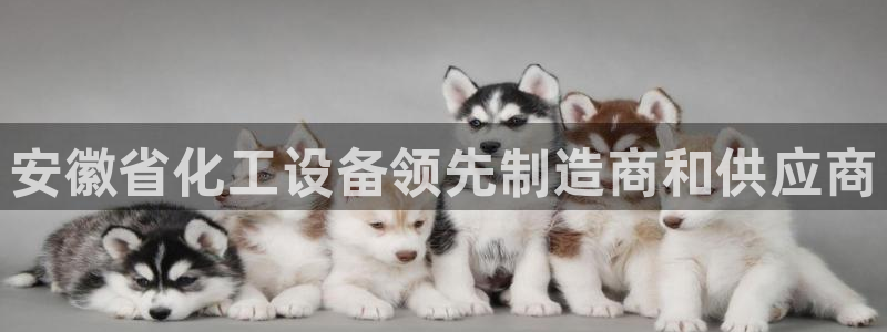 美狮会员卡等级怎么看