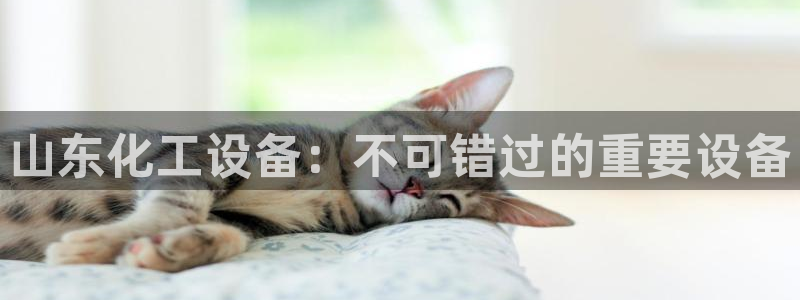 美狮集团董事长兼总经理