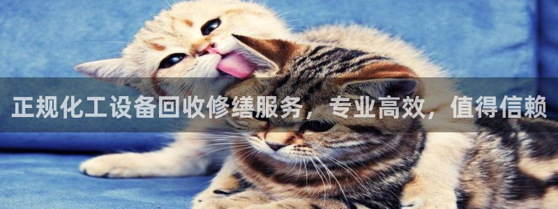 美狮会赚钱平台是骗局吗安全吗