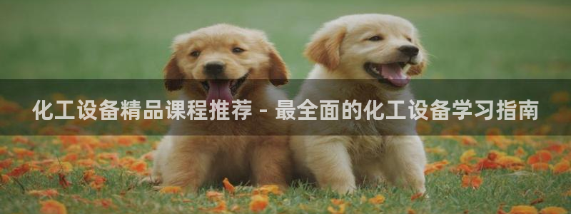 美狮贵宾快速充值中心客服电话