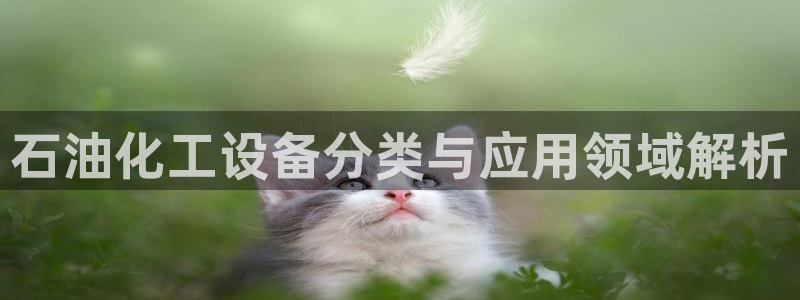 美国美狮集团