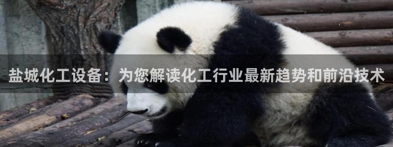 美狮会套利是真的吗