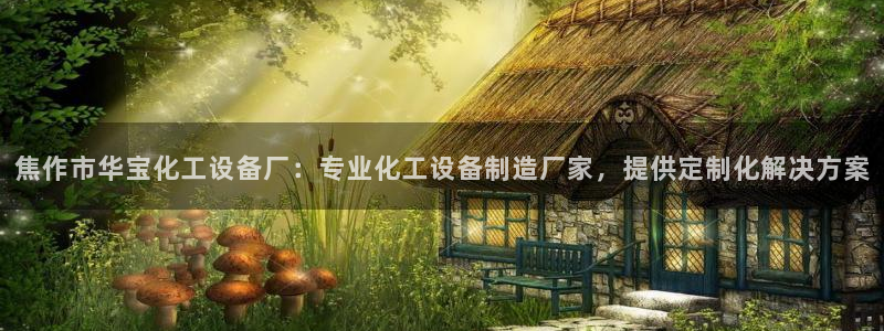 美狮国际控股集团