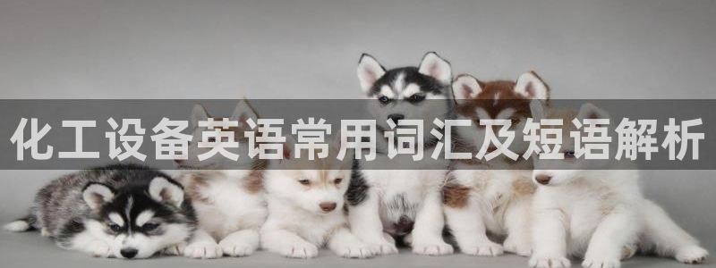 美狮贵宾会